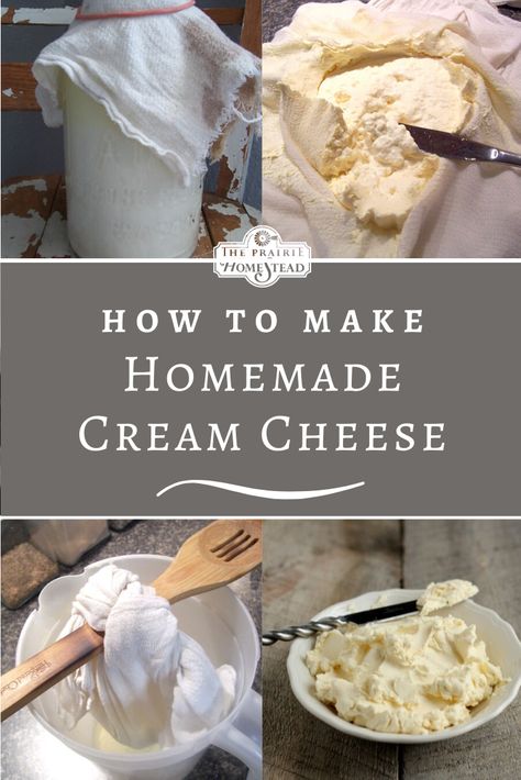 How to Make Homemade Cream Cheese #homedairy #homemadecheese #dairymaking #homemadecreamcheese Homestead Hacks, Homesteading Inspiration, Homemade Cottage Cheese, Cheese Recipes Homemade, Cheese Making Recipes, Homemade Cream Cheese, Diy Mixes, How To Make Cream, Homestead Ideas