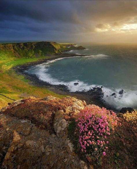 UK Shots 🇬🇧 on Instagram: “📸 are proud to present our UK 🇬🇧 loves of the day! •••••••••••••••••••••••••••••••••••••••••••••• 🏅ARTIST @ahamillphotos 🌍LOCATION Causeway…” Causeway Coast, Dunluce Castle, Giant's Causeway, British Isles, Simply Beautiful, Nature Pictures, Natural World, Beautiful World, Wonders Of The World