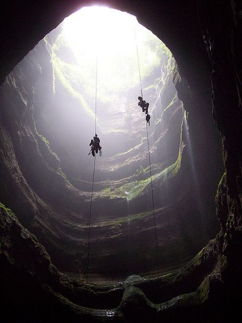 Neversink Pit is a limestone sinkhole in Alabama, and it’s one of the most-photographed sinkholes in the world because of its beautiful fern-covered ledges and waterfalls. The hole is about 40 feet wide at the top, but it expands to 100 feet at its bottom, which is 162 feet from the ground. Neversink is home to bats and several rare and endangered fern species. Halong Bay, Into The Wild, Parkour, Rock Climbing, Oh The Places Youll Go, Adventure Awaits, Some People, Wonders Of The World, The Light