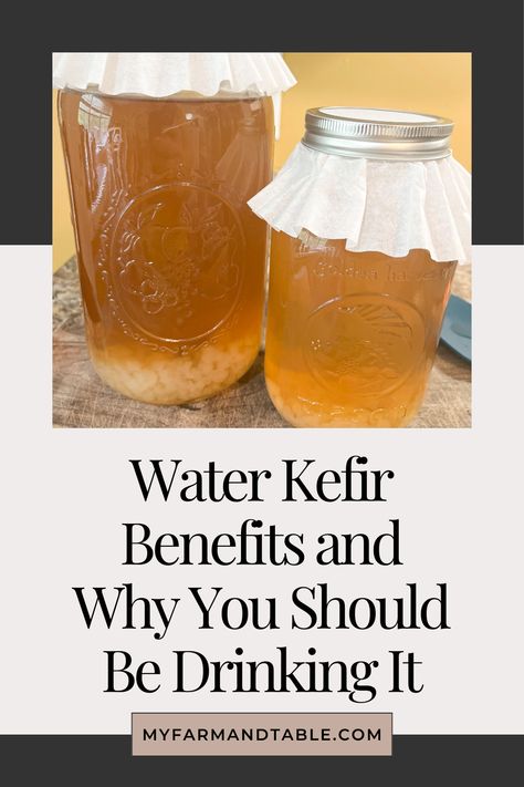 Discover the incredible benefits of Water Kefir and why it should be part of your wellness routine! Packed with probiotics, this refreshing, fizzy drink supports gut health, boosts immunity, and is a great alternative to sugary sodas. Learn how water kefir can improve digestion and overall health while being easy to make at home. Perfect for a natural, health-boosting beverage! #WaterKefir #GutHealth #Probiotics #NaturalHealth Kefir Starter, Kefir Benefits, Water Kefir Grains, Kombucha Starter, Benefits Of Water, Fermented Veggies, Probiotic Benefits, Probiotic Drinks, Fermentation Process