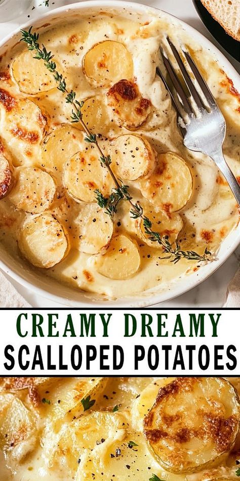 Indulge in the ultimate comfort food with these Creamy Dreamy Scalloped Potatoes! 🥔✨ This mouthwatering dish combines tender layers of thinly sliced potatoes, rich cream, and a hint of garlic for a flavor explosion that will impress your family and friends. Ready to elevate your next meal? Click to save this recipe and share it with friends who love hearty comfort food! #ScallopedPotatoes #ComfortFood #PotatoRecipes #EasyRecipes #Foodie #HomeCooking #Yummy #Casserole Dinner Recipes Using Potatoes, Potatoes And White Sauce, German Scalloped Potatoes, Buttermilk Scalloped Potatoes, Chantilly Potatoes Recipe, Loaded Scalloped Potatoes Recipes, Sour Cream Scalloped Potatoes, Yukon Gold Scalloped Potatoes, Cream Cheese Scalloped Potatoes