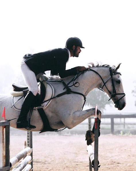 Equestrian Men, Male Equestrian, Male Equestrian Aesthetic, Showjumper Aesthetic, Showjumping Aesthetic, Jumper Aesthetic, English Horse Show Aesthetic, Horse Hunter Jumper, Show Jumper Horse