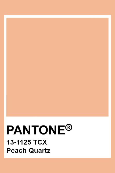 #peachquartz #pantone #peach #salmon #color #coloring #colorinspiration #colorpalette #colorcombinations #colorschemes #colour #colours #colourpalette #colourinspiration #colourlovers #colourscheme #pastel #pastelcolors Peach Pantone, Apricot Colour, Brown Pantone, Pantone Tcx, Peach Quartz, Pantone Color Chart, Pantone Swatches, Pantone 2020, Pantone Palette