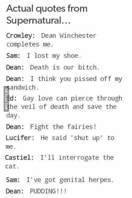 PUDDING!! - 9GAG Spn Memes, Supernatural Quotes, Supernatural Destiel, Cat Quotes Funny, Supernatural Memes, Supernatural Dean, Supernatural Fans, Supernatural Funny, Odaiba