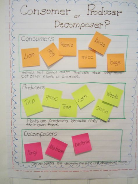 Consumer Producer Decomposer Activity, Producer Consumer Decomposer Activities, Decomposers Science Activity, Producers Consumers Decomposers Activity, Ecosystem Anchor Chart, Teaching Ecosystems, Food Webs, Fourth Grade Science, Science Anchor Charts