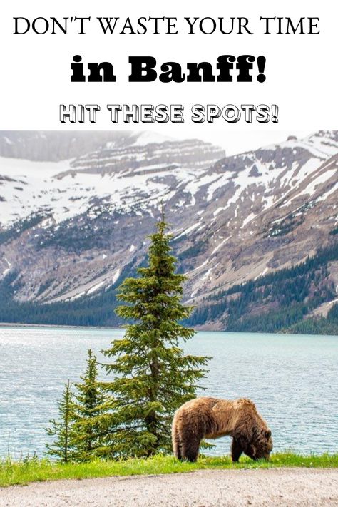 Plan THE BEST trip to Banff and skip all the unnecessay stuff. Whether you have time for 1 day, 2 days, 3 days or more in Banff, you NEED to read this list!  All the places to hit up when you are traveling Banff // Things to do in Banff National Park // Things to do in Alberta // Including Where to stay in Banff // What to do in Summer and Winter // Canadian Gems Things To Do In Banff National Park, Banff Vacation Itinerary, Things To Do Near Banff, Visiting Banff National Park, Banff Canada Fall, Places To Stay In Banff Canada, Banff Canada In October, Banff In March, Banff Things To Do