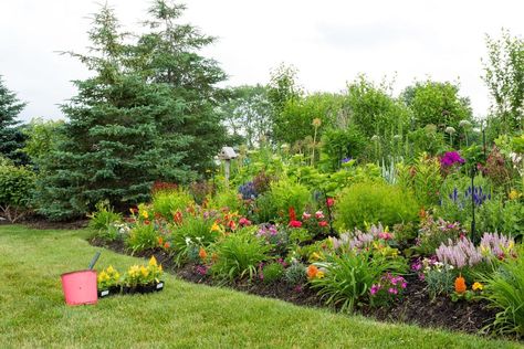 Good Plants For Berms: What To Grow On A Berm Berm Flower Beds, Mound Gardening Beds, Landscape Berm Ideas, Berms Landscaping Ideas, Berms Landscaping, Landscaping Berm Ideas, Mound Gardening, Garden Berm, Berm Garden