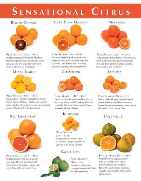 Citrus fruits Citrus Fruits List, Citrus Fruit List, Fruits And Vegetables List, Fruit List, Food Infographic, Food Charts, Exotic Food, Food Info, Oranges And Lemons