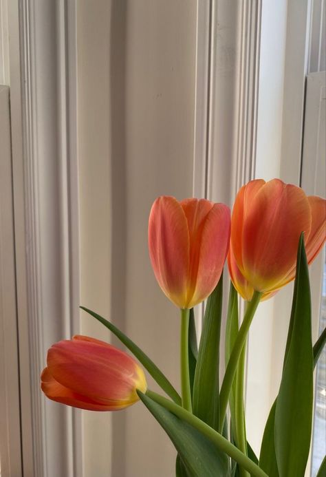 Flower Hearts, Aesthetic Artsy, Express Emotions, Flowers And Hearts, Fleur Orange, Orange Tulips, The Language Of Flowers, Boquette Flowers, Flowers Petals