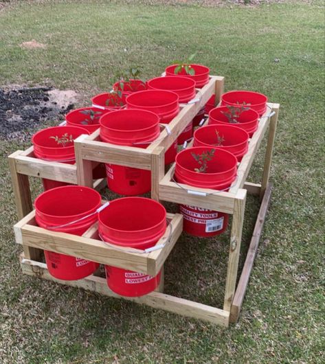 Raised Garden Beds Diy Vegetables, Growing Vegetables In Pots, Bucket Gardening, Building A Raised Garden, Vegetable Garden Diy, Diy Raised Garden, Backyard Vegetable Gardens, Raised Garden Beds Diy, Veg Garden