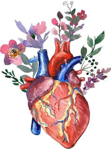 Heart And Flowers Tattoo, Anatomy Painting, Human Heart Art, Anatomical Heart Art, Draw Watercolor, Heart And Flowers, Tattoo Watercolor, Heart Anatomy, Biology Art