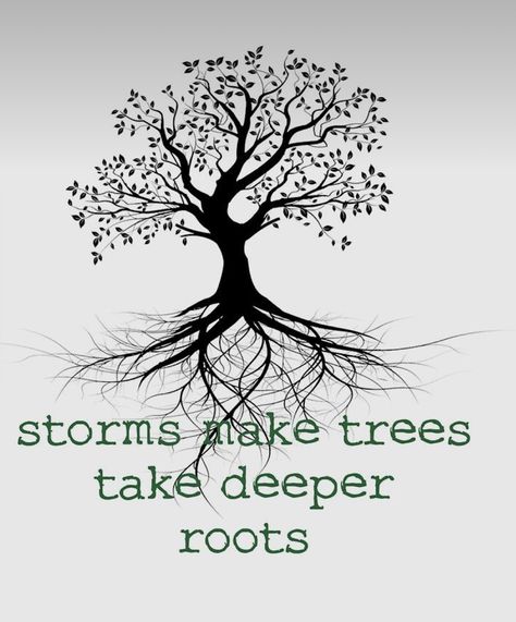 Storms Make Trees Take Deeper Roots Tattoo, Storms Make Trees Take Deeper Roots, Storms Make Trees Grow Deeper Roots, Tree Of Live Tattoo, Homeopathy Logo, Tree With Roots Tattoo, Roots Aesthetic, Roots Illustration, Tree Of Life Images