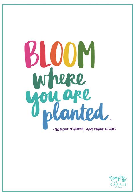 Just Bloom - Carrie Colbert