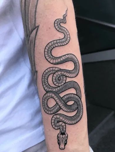 Snake Tattoo Designs & Meanings [2020 Guide] - Tattoo Stylist Snake Henna, Snake Tattoo Ideas, Snake Tattoo Meaning, Traditional Snake Tattoo, Small Snake Tattoo, Daisy Tattoo Designs, Japanese Snake Tattoo, Serpent Tattoo, The Best Tattoos