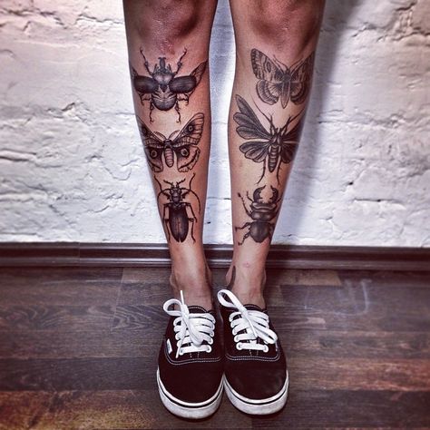 Butterfly Legs, Woman With Tattoos, Beetle Tattoo, Shin Tattoo, Bug Tattoo, Insect Tattoo, Moth Tattoo, Leg Tattoo Men