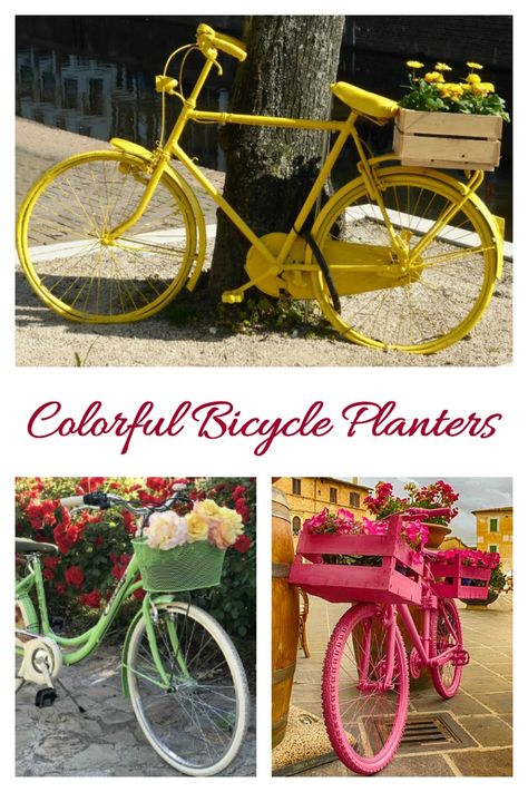 Colorful bicycle planters Organic Raised Garden Beds, Beds Wood, Garden Ornaments Diy, Bike Planter, Paint Bike, Bicycle Decor, Bicycle Painting, Old Bicycle, Garden Makeover