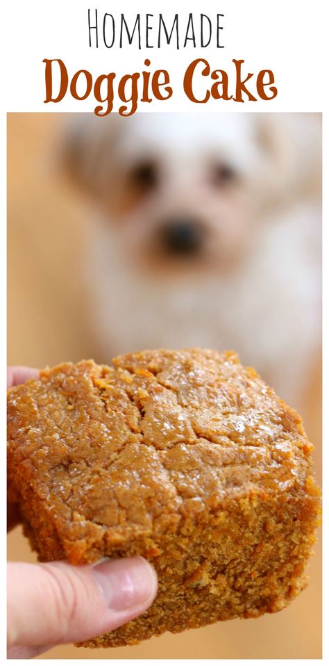 A tasty blend of peanut butter, honey and carrots will make this cake your… Doggie Cake, Dogs Cake, Dog Cake Recipes, Dog Biscuit Recipes, Butter Honey, Dog Treats Homemade Recipes, Diy Dog Treats, Peanut Butter Honey, Puppy Treats