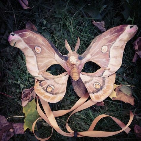 Leather Moth Mask by Alexis Burbank