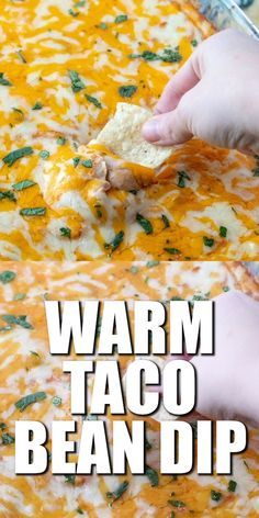 Bean Dip Appetizer, Salsa Seasoning, Taco Bean Dip, Refried Bean Dip, Refried Bean, Bean Dip Recipes, Nachos Recipe Easy, Delicious Dips Recipes, Best Appetizer Recipes