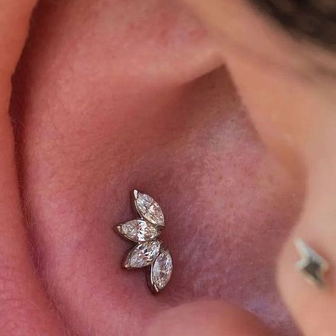 Shaman Modifications on Instagram: "Conch piercing by Jason (@piercerjason) using an 18k white gold 4 stone Marquise Fan Mini from @anatometalinc 🕊️" Conch Piercing Jewelry Studs, Inner Conch Piercing Studs, Conch Ear Piercings, Conch Ear Piercing, Conch Piercing Stud, Inner Conch Piercing, Inner Conch, Ear Styling, Conch Piercing Jewelry