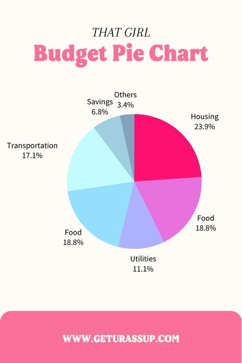 budgeting, beginner's guide, finances, money management, personal finance, saving Budget Pie Chart, Budget Planner For Beginners, Setting Up A Budget, Budget Planner Template, Budget Planner Printable, Financial Security, Finance Saving, Finances Money, Budgeting Finances