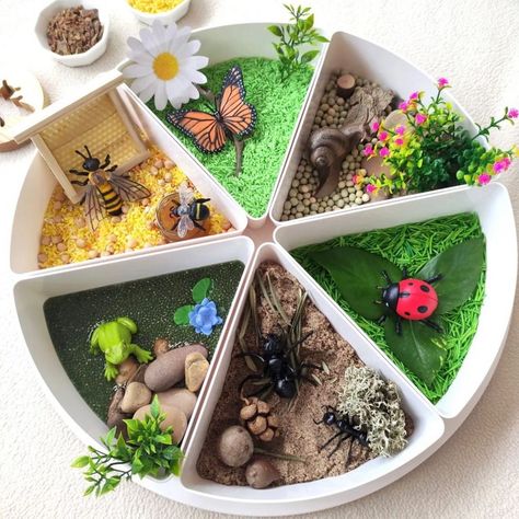 Laura | Inspire My Play ® on Instagram: “BUG HABITAT TRAY . Isn’t this the most inviting play tray from @minimundos_demimundo? There’s so much to explore and lots of different…” Inspire My Play Tray Ideas, Sensory Play Tray, Inspire My Play, Inspire My Play Tray, Playtray Ideas, Spring Tuff Tray, Bug Habitat, Tuff Tray Ideas Toddlers, Memory Care Activities