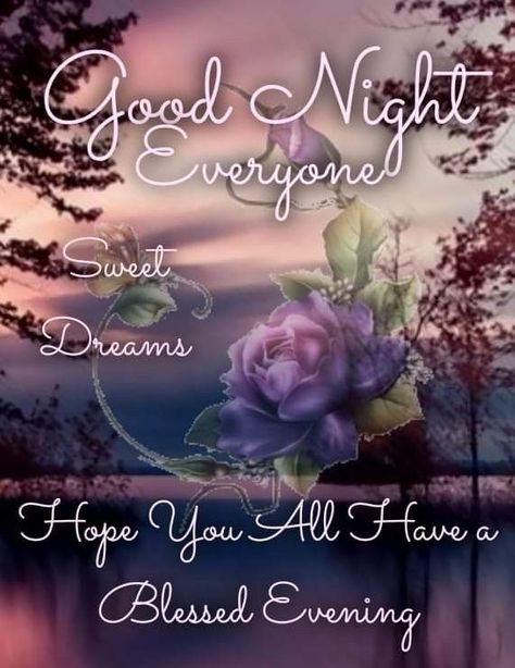 Goodnight Blessings, Evening Blessings, Good Night Family, Goodnight Messages, Fire Lion, Thinking Of You Quotes, Good Night Love Messages, Good Evening Greetings, Daily Greetings