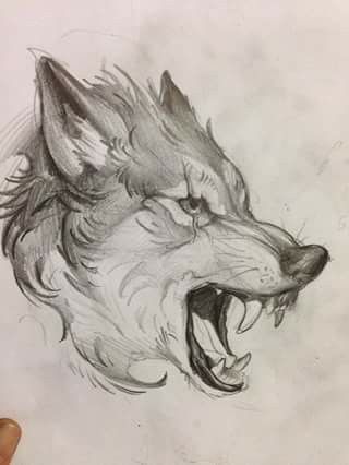 Lup Singuratic, Wolf Sketch, Wolf Artwork, Animal Drawings Sketches, Wolf Tattoo Design, Wolf Drawing, Wolf Tattoos, Art Drawings Sketches Creative, A Wolf