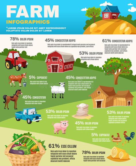 Farm Infographic, Garden Cartoon, Cartoon Elements, Iowa Farms, Vegetable Garden Planner, Food Infographic, Poultry Farm, Crazy Funny Pictures, Graphic Design Lessons