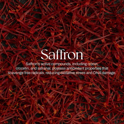 Saffron inhibits melanogenesis by suppressing tyrosinase activity and melanin production, leading to a more even skin tone. Additionally, it modulates collagen synthesis, enhancing skin firmness and elasticity. The Ayurvedic text "Ashtanga Hridayam" mentions saffron's skin benefits due to its Varnya (complexion-enhancing) and Kusthaghna (skin disorder-alleviating) properties. Saffron's multifaceted actions make it a scientifically grounded choice for promoting radiant skin. #saffronserum #fa... Saffron Aesthetic, Saffron Benefits, Skin Disorders, Skin Benefits, Even Skin Tone, Face Serum, Radiant Skin, Superfoods, Ayurveda