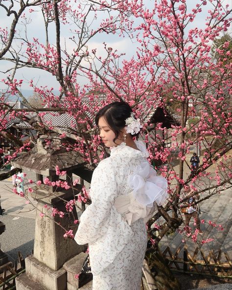 👘*ೃ༄ - - - kimono rental in kyoto^^! Kimono Portrait, Kimono Photoshoot, Quince Pics, Kimono Kyoto, Kimono Rental, March 4, Instagram Inspo, Yukata, Quince