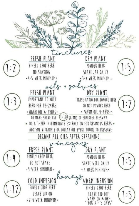 i made this printable cheat sheet for making tinctures, oils, vinegars & honeys when i was in herbalism school! i hope it can be of some use to any of you too! :) #doctor #health #apothecary #herbal #recipe #medicine #healthlifestyle #affiliate Making Tinctures Herbal Medicine, How To Make Herbal Tinctures, Tincture Recipes For Beginners, Medicinal Herb Tinctures, Tincture Dosage Chart, How To Be A Herbalist, Appalachian Herbalism, How To Make Tinctures, Herbal Medicine List