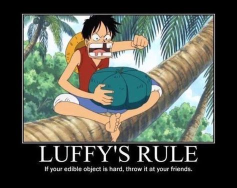 Luffy Pieces Facts, One Piece Meme, One Piece Crew, The One Piece Is Real, One Piece Stuff, One Piece Is Real, One Piece Funny, One Piece Drawing, One Piece Images