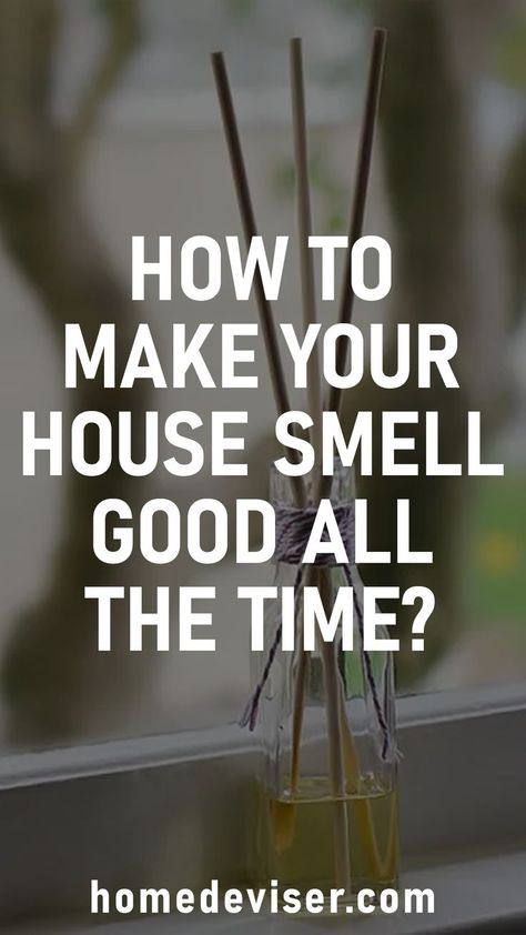 Want to make your home smell Good All the Time? Dive into our 25 expert tips on How to Make House Smell Good. Say goodbye to unwanted odors and hello to a sweet, inviting atmosphere! Make House Smell Good, Make Your Home Smell Good, Make Your House Smell Good, Home Smell Good, Natural Cleaning Solutions, House Smell Good, Home Smell, House Smell, Sparkling Clean