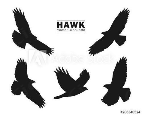 Stock Image: Vector illustration: Set of Silhouettes of flying Hawk isolated on white background. Black eagles. Hawk Silhouette, Flying Hawk, Bird Icon, Hawk Photos, Print Portfolio Design, Eagle Silhouette, Hawk Bird, Eagle Drawing, Bird Logo Design