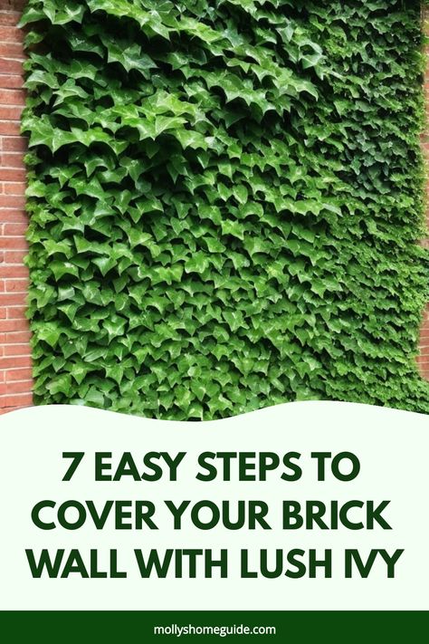 Discover the beauty of ivy crawling up a brick wall with our ultimate guide on how to grow ivy on brick walls effortlessly. Whether you have a small garden or a cozy patio, ivy can add an instant touch of charm and elegance to your outdoor space. Learn the best tips and tricks for planting, caring for, and training your ivy to climb up any brick surface. Wall Crawling Plants Outdoor, Decorate Brick Wall Outdoor, Ivy Walls Outdoor, Ivy On Brick, Types Of Ivy, Climbing Ivy, Boston Ivy, Ivy Wall, Outdoor Entryway