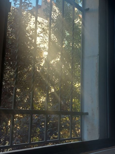 Trees , sun , early morning, paradise , window view , dreamy vibe , dreamy aesthetic, tree magic wooh, early bird Morning Bird Aesthetic, Early Morning Aesthetic Window, Early Bird Aesthetic, Vision Board House, Aesthetic Window View, Early Morning Aesthetic, Aesthetic Tree, Board House, Aesthetic Morning