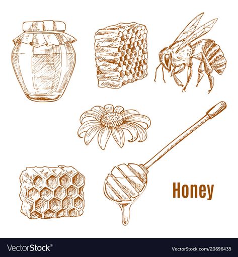 Honey Spoons, Bee Keeping, Honeycomb, Sunflower, Vector Free, Honey, Bee, Wax, Resolution