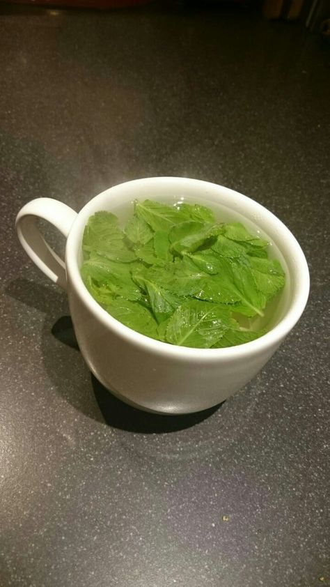 Green Tea Snap, Fresh Mint Tea, Foodie Instagram, I Love Chocolate, Mint Tea, Sopot, Snap Food, Food Snapchat, Fresh Mint