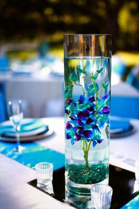 indoor beach theme wedding ideas - Google Search Dendrobium Orchids Centerpiece, Blue Dendrobium Orchids, Submerged In Water, Orchid Centerpieces, Dendrobium Orchids, Peacock Wedding, Blue Orchids, Beach Theme Wedding, Centre Pieces