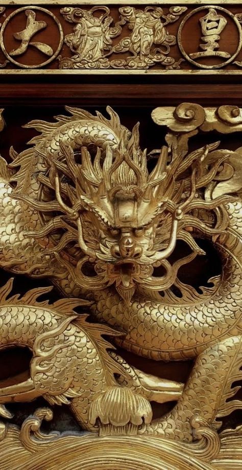 Asian Dragon Aesthetic, Golden Dragon Aesthetic, Gold Dragon Aesthetic, Japanese Dragon Aesthetic, Crow Story, Pinterest Japan, Dragon Aesthetic, Dragon Mythology, Chinese Aesthetic