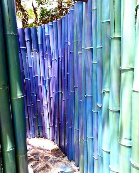 Purple color washed outdoor bamboo shower at Harmonia, Nicaragua! Bamboo Forest, Funky Art, Paint Finishes, Nicaragua, Purple Color, Art Projects, Curtains, Shower, Paint