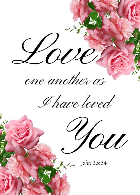 Love one another, with pink roses. Love One Another Bible Verse, John 13:34, Gods Love Scripture, Love One Another Scripture, Scriptures About Love, Love One Another Quotes, Another Poster, Animated Pics, John 13 34