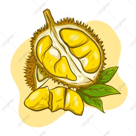 Durian Illustration, Durian Montong, Durian Fruit, Green Tea Drinks, Green Png, Map Pictures, Black Grapes, Green Drinks, Fruit Illustration