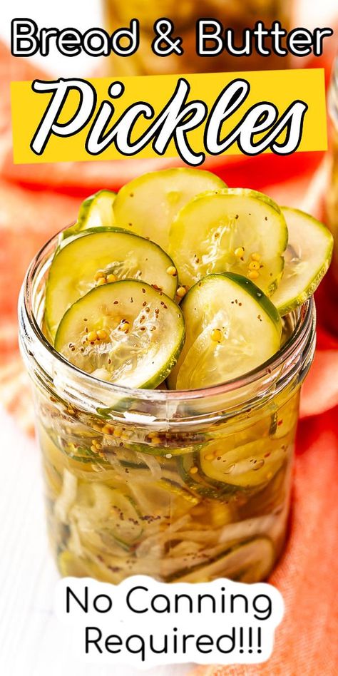 Bread And Butter Pickle Recipe Refrigerator, Bread And Butter Pickles Homemade Easy, Diy Refrigerator Pickles, Recipe For Pickles, Single Jar Pickle Recipe, Easy Canning Pickles Recipes, Homemade Pickles Bread And Butter, Homemade Bread And Butter Pickles Easy, Quick Pickles Bread And Butter