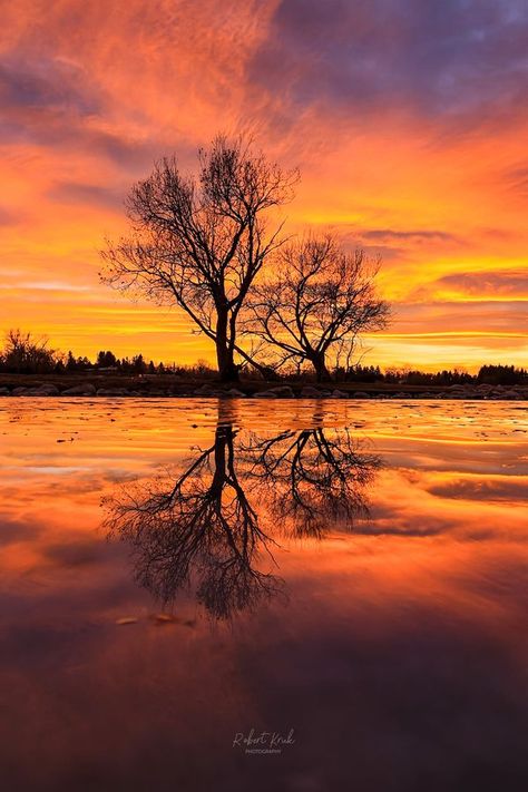 Canadian Landscapes | Out of all things I love to photos Sunsets are my favorite and Southern Alberta has the best sunsets and sunrises in Canada 😍 🇨🇦📸 | Facebook Sunsets And Sunrises, Southern Alberta, Best Sunset, Things I Love, My Favorite, I Love, Good Things, Photography