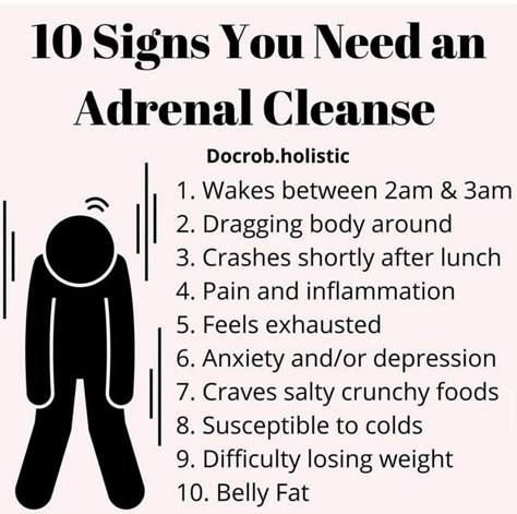 Adrenal Cleanse, Adrenal Fatigue Symptoms, Lower Cortisol, Adrenal Gland, Fatigue Symptoms, Endocrine Disorders, Hashimotos Disease, Adrenal Health, Adrenal Glands