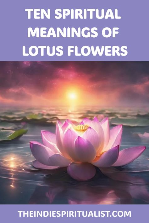 Mystical and transformative, discover the ten spiritual meanings of the lotus flower that reveal paths to enlightenment and personal growth. Pink Lotus Meaning, Lotus Flower Color Meaning, Meaning Of Lotus Flower, Lotus Meaning, Lotus Flower Spiritual, Lotus Flower Symbolism, Lotus Flower Colors, Lotus Flower Meaning, The Lotus Flower