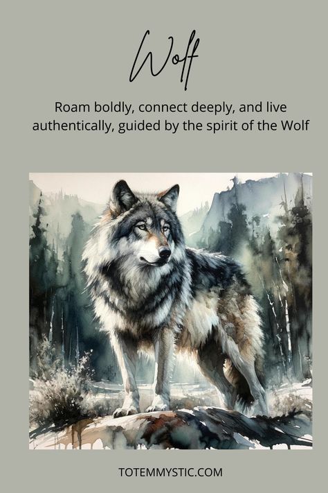 The wolf symbolizes intuition, freedom, and social connections. Seeking freedom in your life? Explore the wolf as your spirit guide. #spirit animal #spiritual meaning #totem #power animal Wolf Spirit Animal Meaning, Wolf Meaning, Birth Totem, Spirit Animals Book, Spirit Animal Wolf, Spirit Animal Meaning, Spirit Wolf, Native Beauty, Social Connection