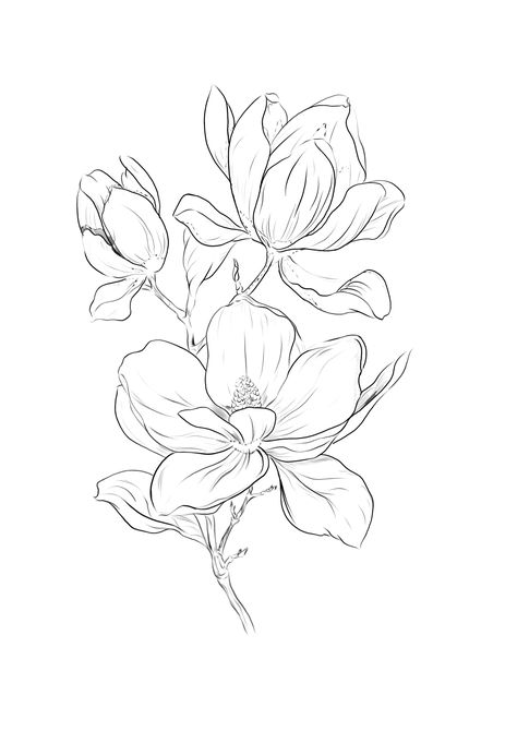 Moonflower Sketch, Magnolia Flower Design, Moonflower Drawing, Magnolia Tattoo Design, Moonflower Tattoo, Magnolia Drawing, Magnolia Flower Tattoo, Tattoo Initials, Simple Tats